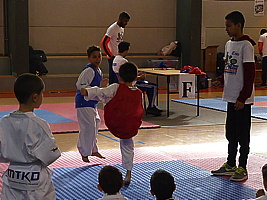 p5390348.jpg
