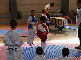 p5390353.jpg