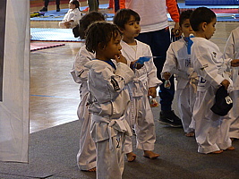 p5390488.jpg