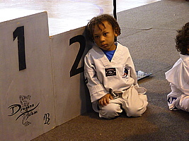 p5390549.jpg