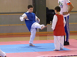 p5390720.jpg