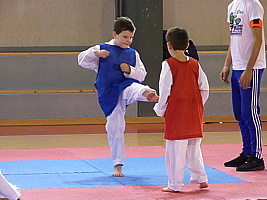 p5390749.jpg