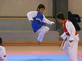 p5400053.jpg