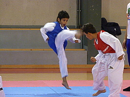 p5400054.jpg