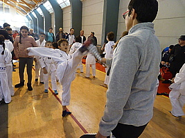 p5410268.jpg