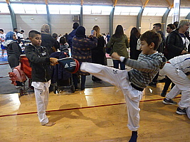 p5410425.jpg