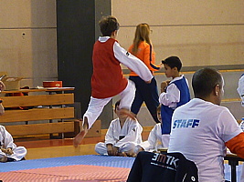 p5410602.jpg