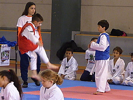 p5410658.jpg