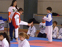 p5410659.jpg