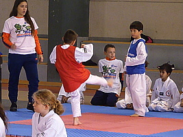 p5410674.jpg