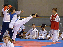 p5410720.jpg