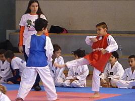 p5410794.jpg