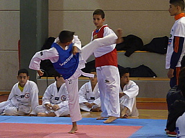 p5410939.jpg