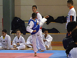 p5410973.jpg