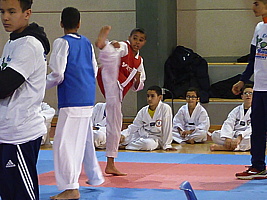 p5420086.jpg