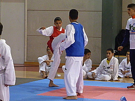 p5420092.jpg