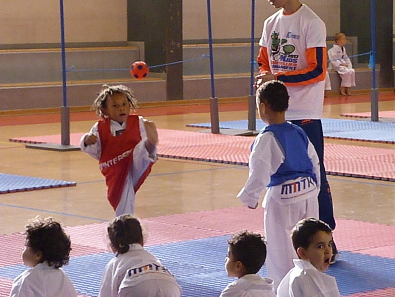p5380425.jpg