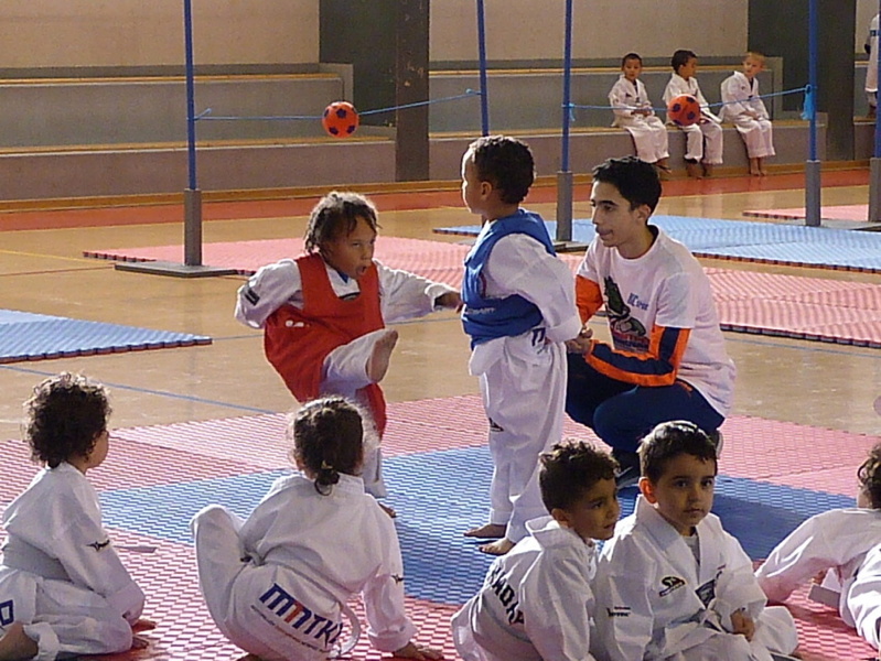 p5380498.jpg