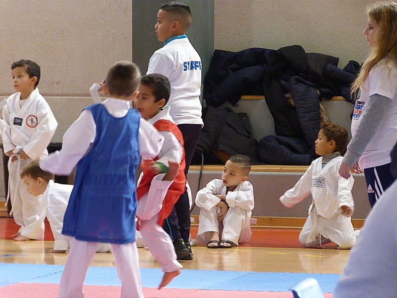 p5390137.jpg