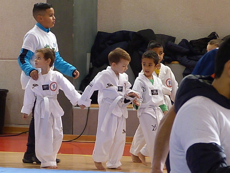 p5390241.jpg