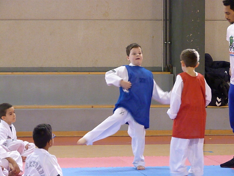 p5390726.jpg