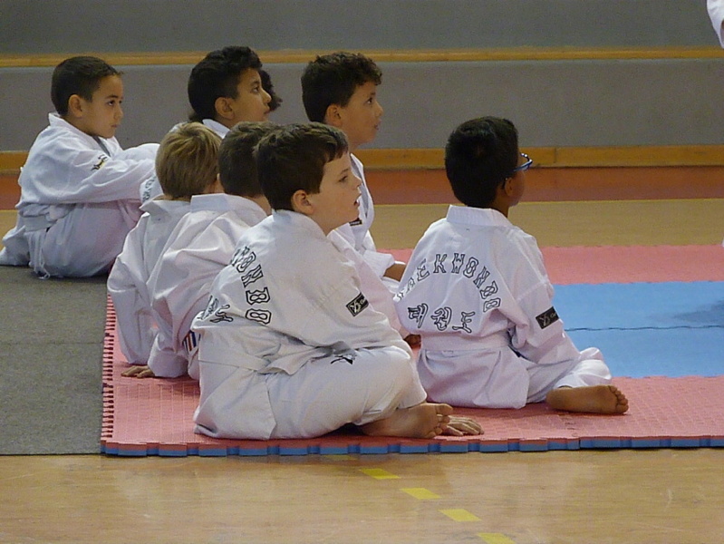 p5400021.jpg