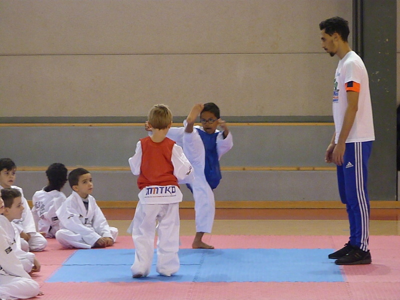 p5400395.jpg