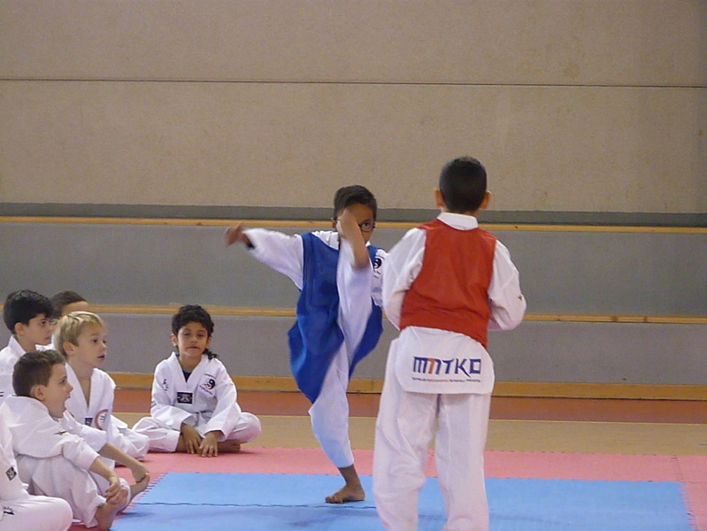 p5400428.jpg