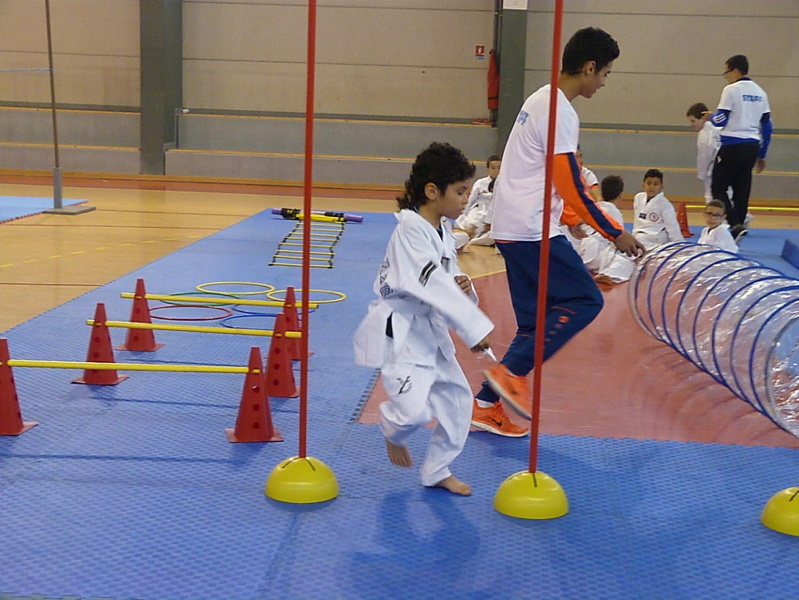 p5400609.jpg