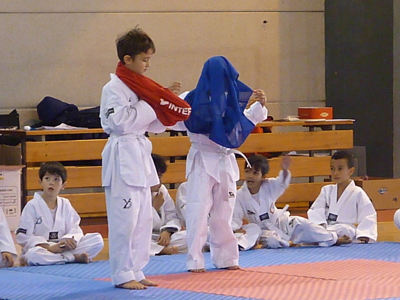 p5410576.jpg
