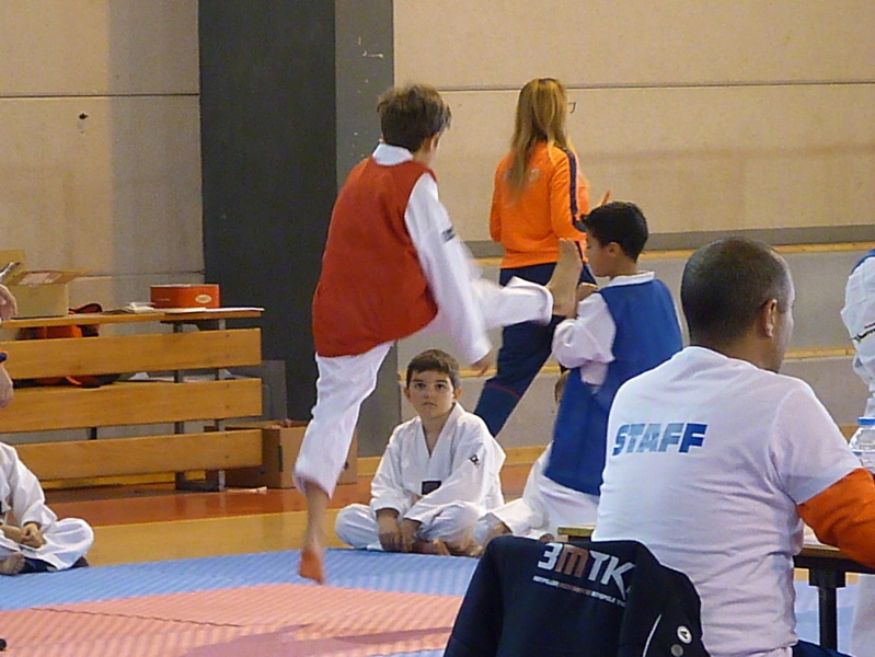 p5410603.jpg