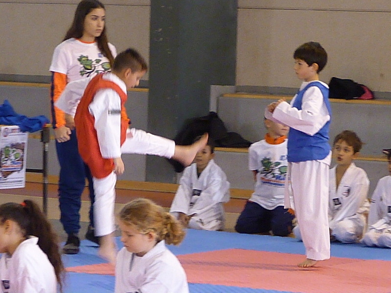 p5410659.jpg