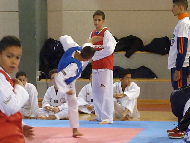 p5410928.jpg