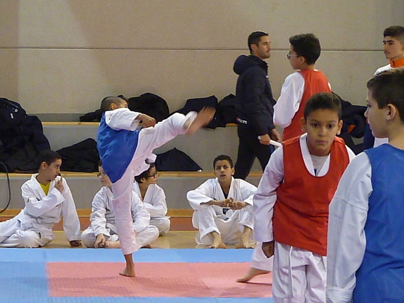p5420048.jpg