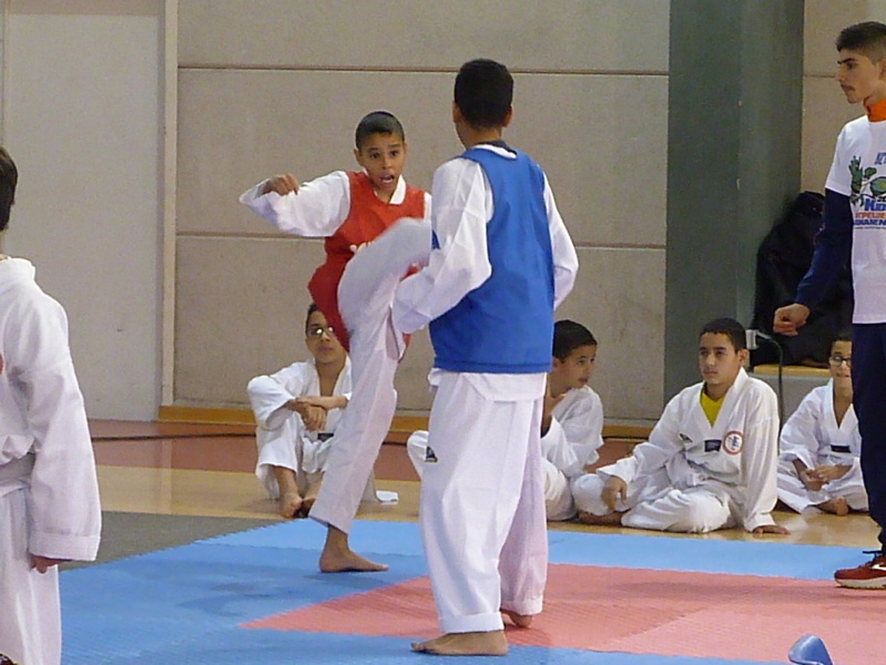 p5420092.jpg
