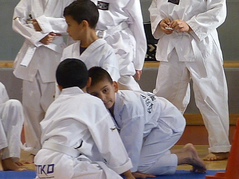 p5420151.jpg