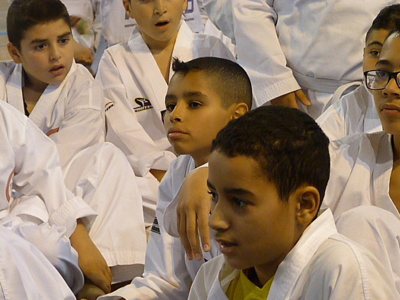 p5420419.jpg