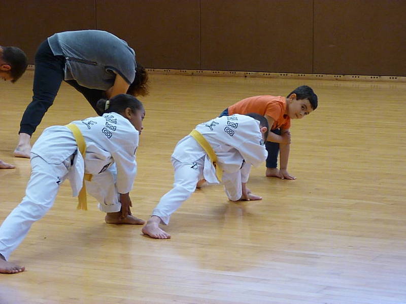 p5080499.jpg