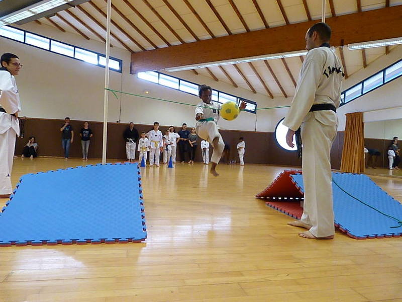 p5100773.jpg