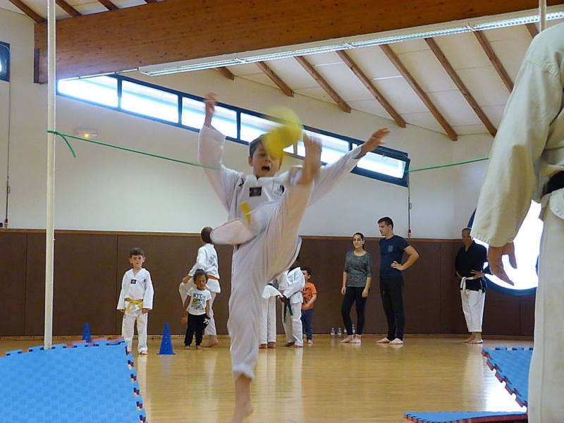 p5100879.jpg