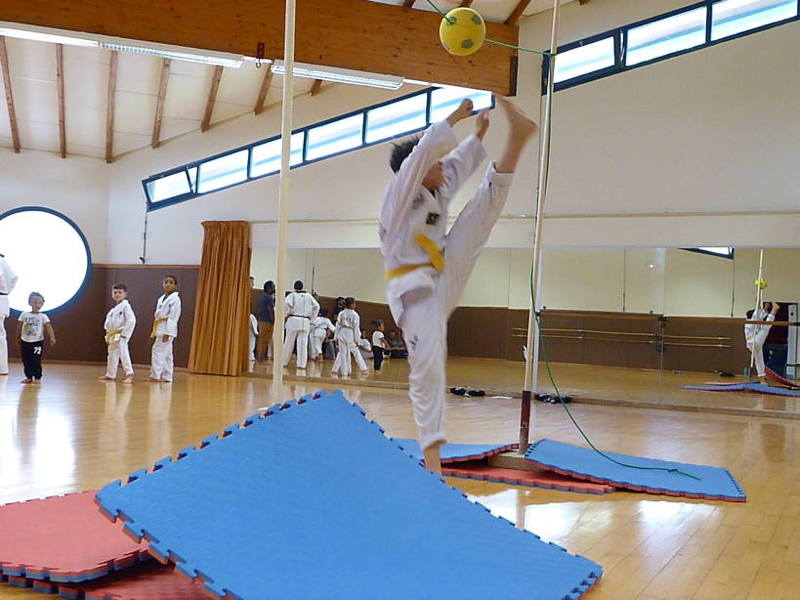 p5110576.jpg