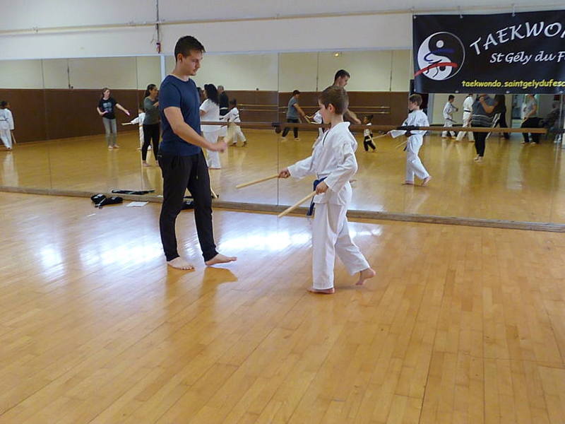 p5110900.jpg