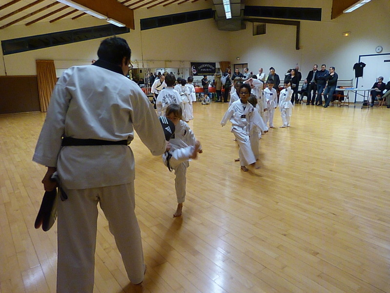 p5450961.jpg