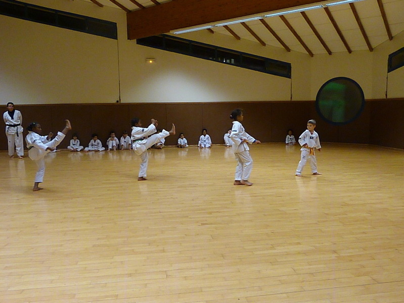 p5460420.jpg