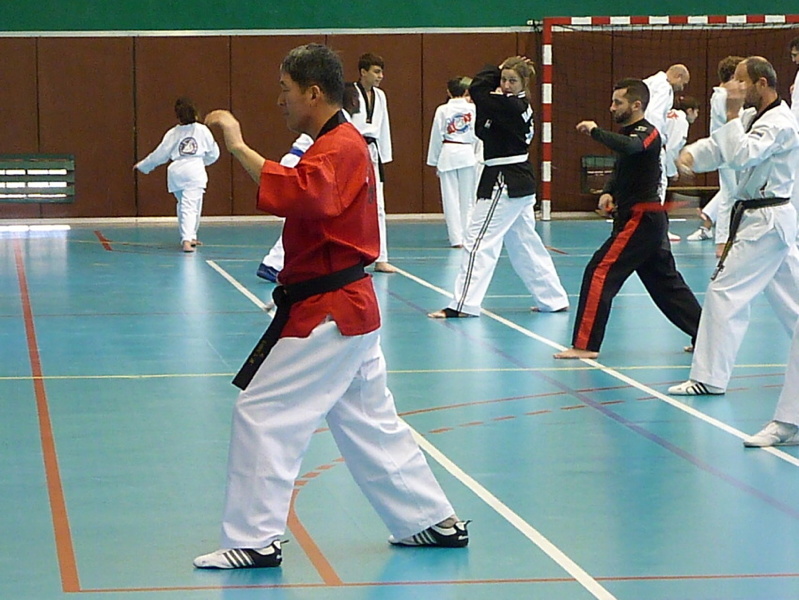 p5420763.jpg