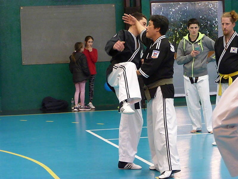 p5430049.jpg