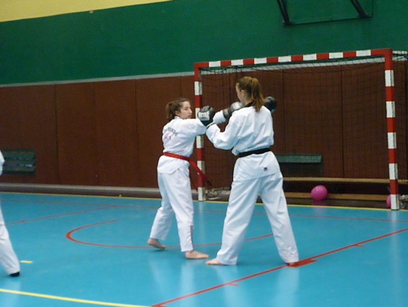 p5430097.jpg