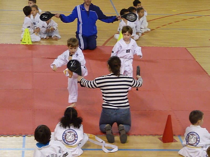 p5530462.jpg