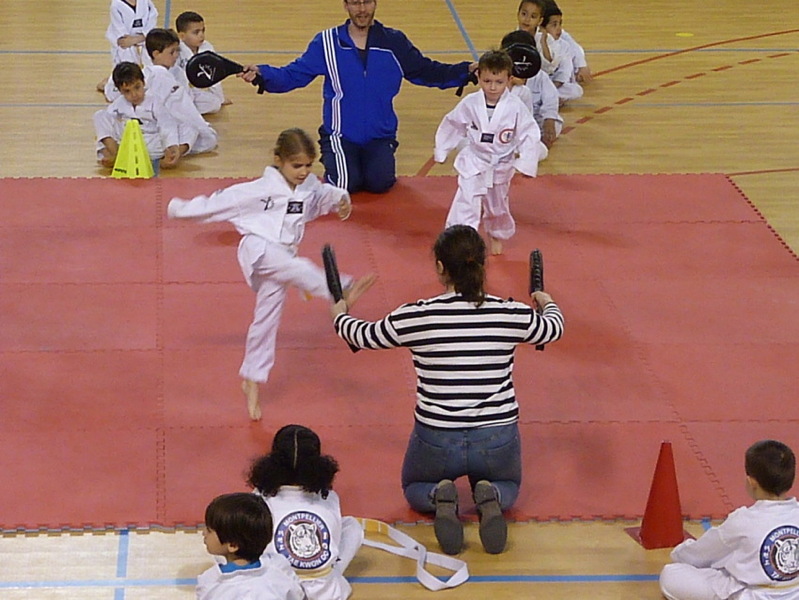 p5530501.jpg