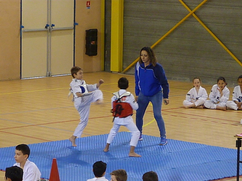 p5530528.jpg